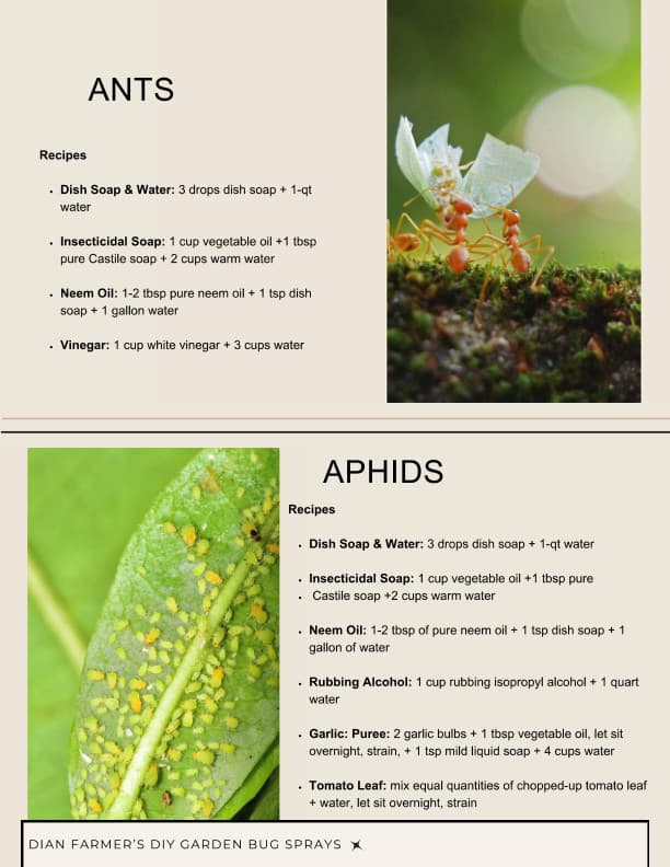 book page 2