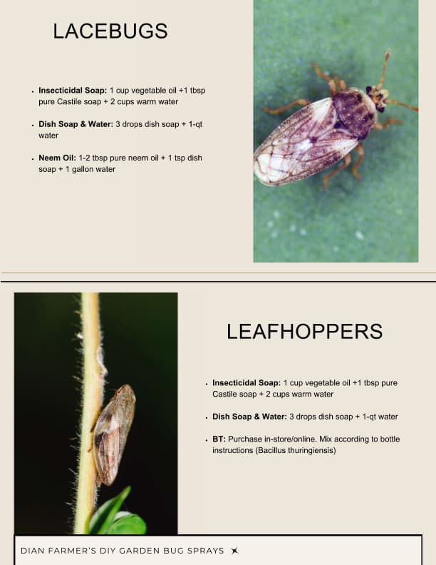 book page 7