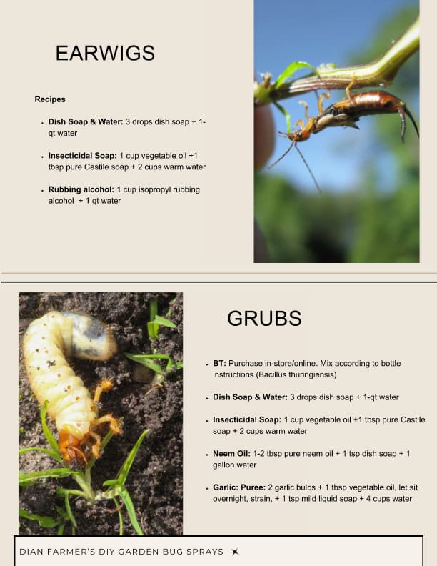 book page 6