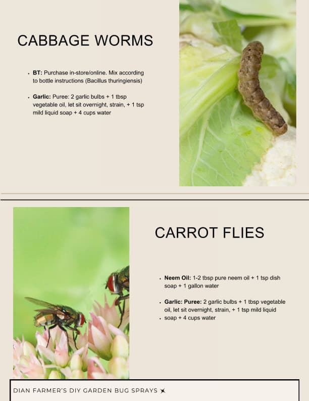 book page 4